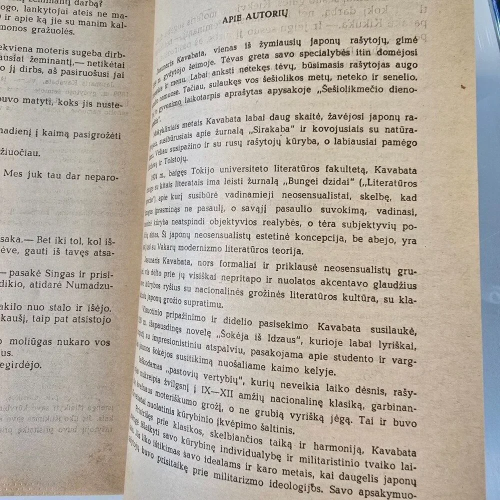 Jasunaris Kavabata Kalno Aimana Book In Lithuanian Language Vintage 1976 PB
